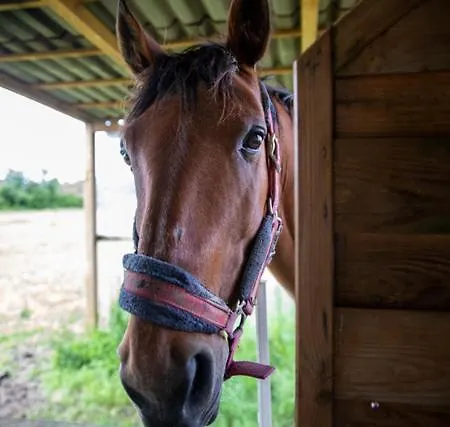 Little Ranch *