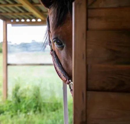 Little Ranch Apartman