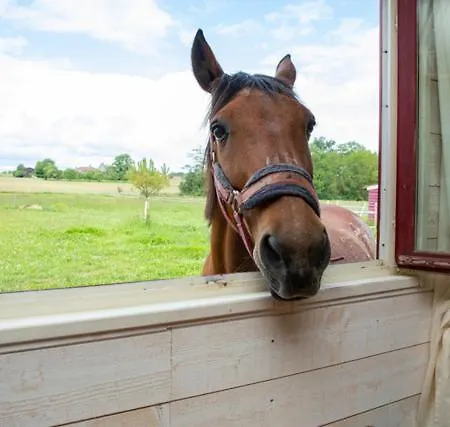 Apartman Little Ranch *